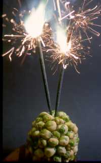 Easter Egg from 2004